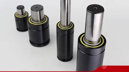 Monthly Deals Injection Mold Parts Mould Tool and Die Nitrogen Spring Nitrogen Gas Cylinder Gas Spring for Die Casting Moulds